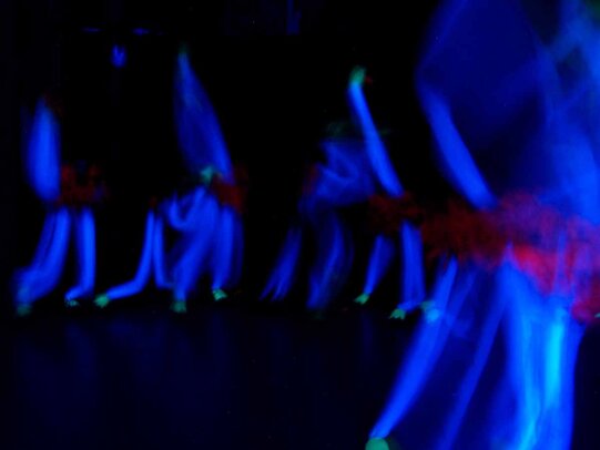 Thumbnail: _2110158.jpg