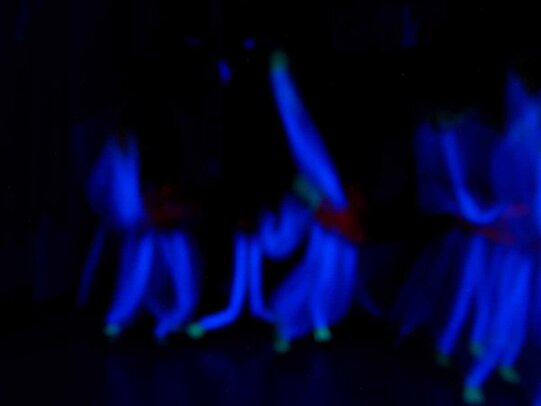 Thumbnail: _2110159.jpg