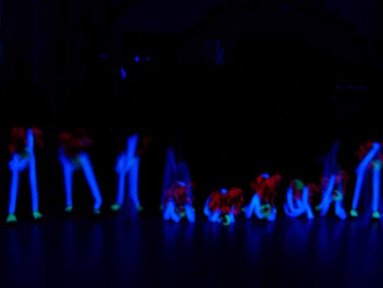 Thumbnail: _2110161.jpg