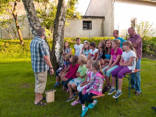 Thumbnail: _8173094.jpg