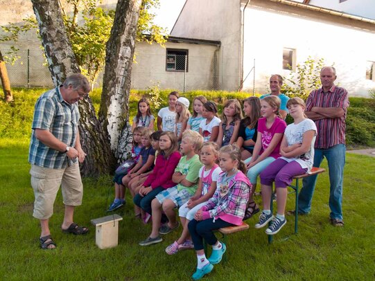 Thumbnail: _8173096.jpg