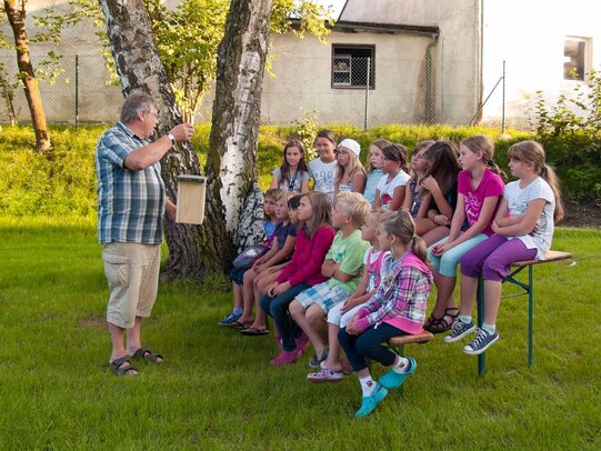 Thumbnail: _8173103.jpg