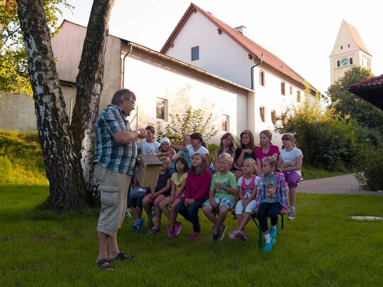 Thumbnail: _8173124.jpg