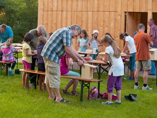 Thumbnail: _8173251.jpg