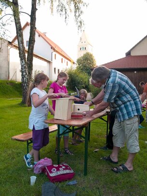 Thumbnail: _8173309.jpg