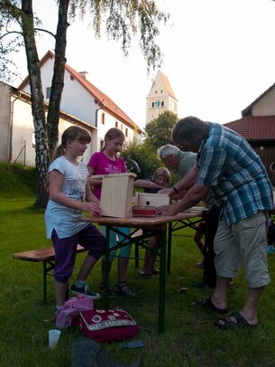 Thumbnail: _8173312.jpg