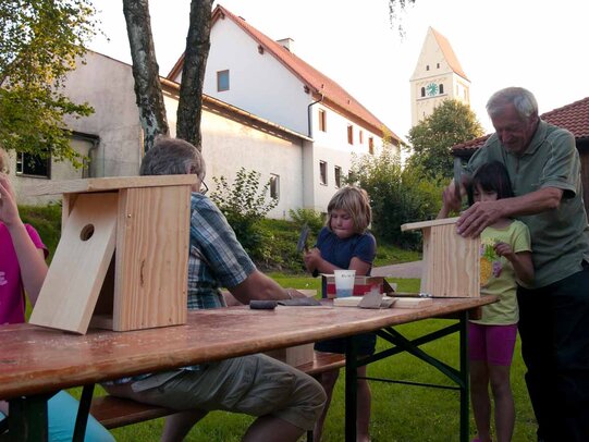 Thumbnail: _8173343.jpg