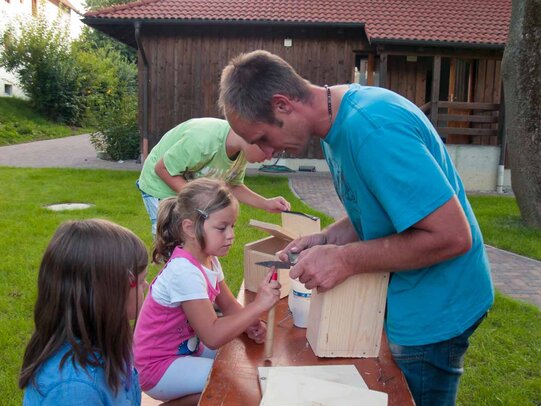 Thumbnail: _8173359.jpg