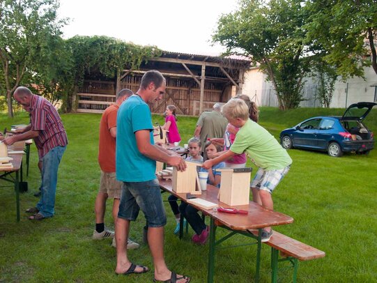 Thumbnail: _8173394.jpg