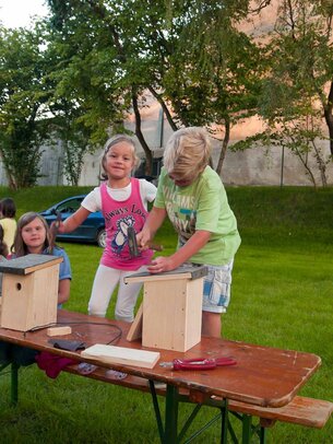 Thumbnail: _8173409.jpg