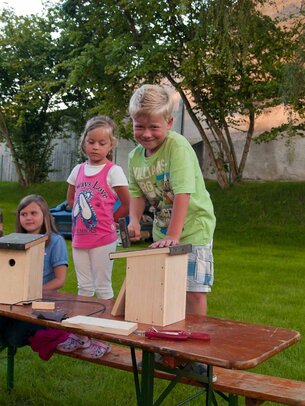 Thumbnail: _8173415.jpg