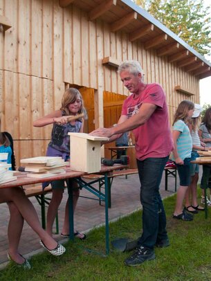 Thumbnail: _8173427.jpg