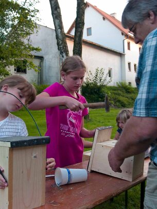 Thumbnail: _8173439.jpg