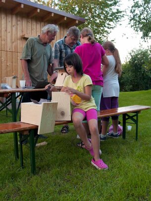 Thumbnail: _8173458.jpg