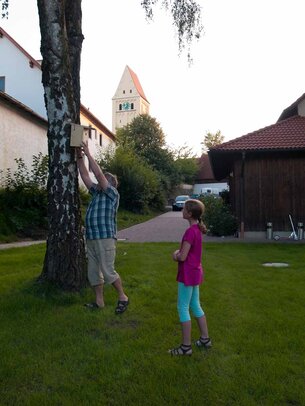 Thumbnail: _8173521.jpg