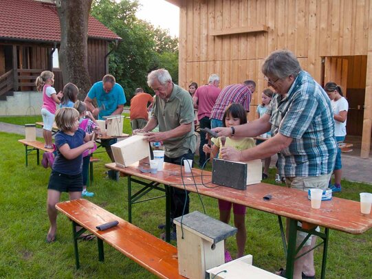 Thumbnail: _8173531.jpg