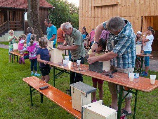 Thumbnail: _8173535.jpg