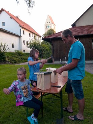 Thumbnail: _8173574.jpg