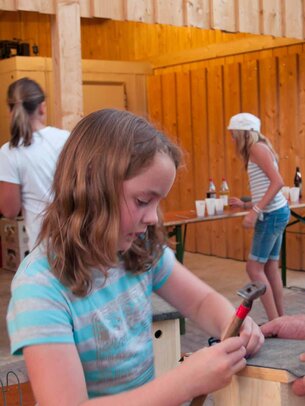 Thumbnail: _8173600.jpg