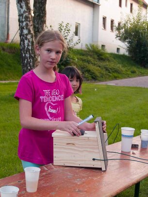 Thumbnail: _8173611.jpg