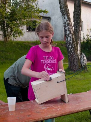 Thumbnail: _8173655.jpg