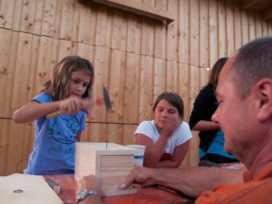 Thumbnail: _8173665.jpg