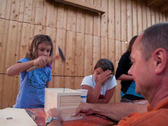 Thumbnail: _8173666.jpg