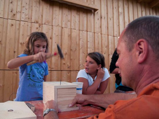 Thumbnail: _8173668.jpg