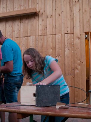 Thumbnail: _8173685.jpg