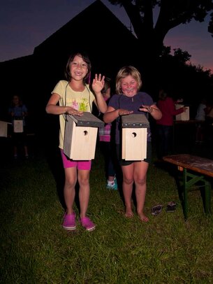 Thumbnail: _8173706.jpg