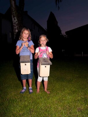 Thumbnail: _8173708.jpg