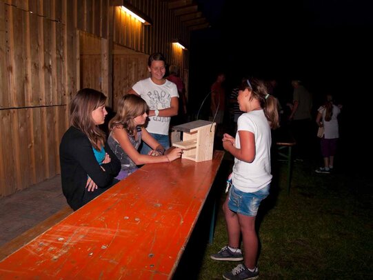 Thumbnail: _8173712.jpg